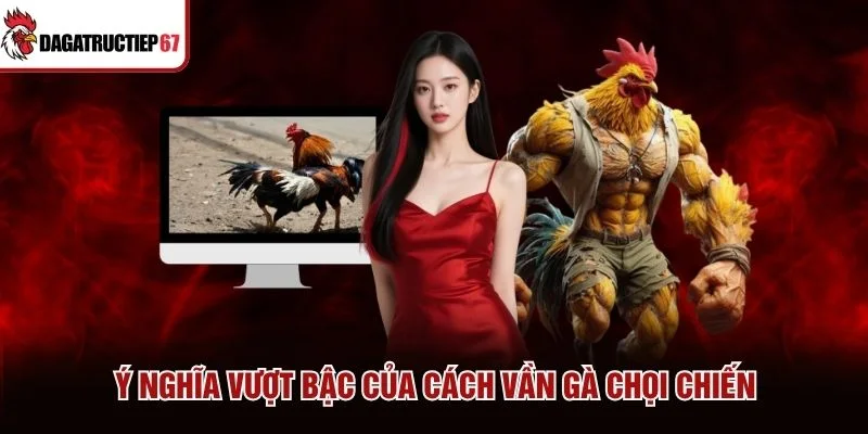 Ý nghĩa vượt bậc của cách vần gà chọi chiến